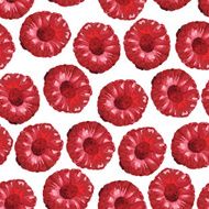 Raspberry seamless pattern N6
