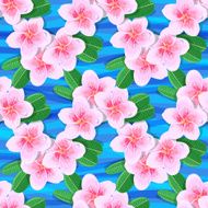 Tropical flowers plumeria