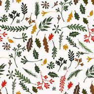 colorful autumn leaves Vector illustration N9