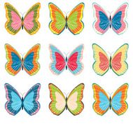 Big collection of colorful butterflies