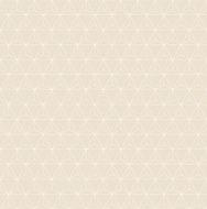 grid pattern of triangles N2
