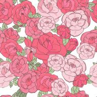 Pink rose on the white background N8