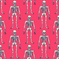 Sketch skeleton