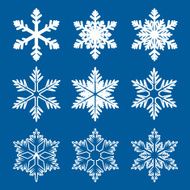 Set of white snowflakes N3