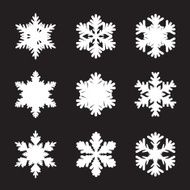 Set of white snowflakes N4