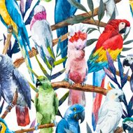 Watercolor parrot pattern