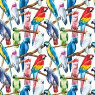 Watercolor parrot pattern N4