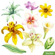 Vector illustration with watercolor flowers