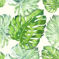 Vector illustration with tropical leaves N4