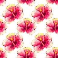 Vector illustration with red chinese hibiscus N2