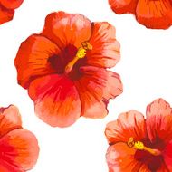 Vector illustration with red chinese hibiscus N4