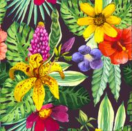 Vector illustration with watercolor flowers N24
