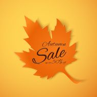 Autumn sale banner Orange maple leaf
