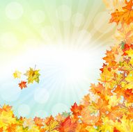 Autumn Frame N34