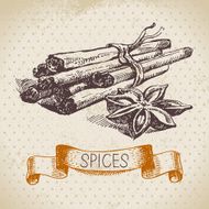 Kitchen herbs and spices Vintage background with hand drawn ske N12