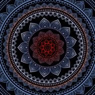 Vector vintage background N12
