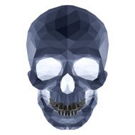 Dark crystal skull