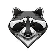 Cartoon wild raccoon animal mascot