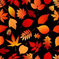 Colorful autumn leaves seamless pattern N2