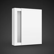 blank paper box template N4