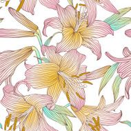 Pink royal lilies flowers on a white background