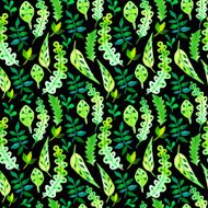 Vector Illustration with original floral background N16