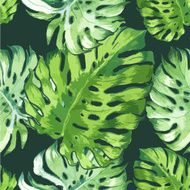 Vector illustration with tropical leaves N14