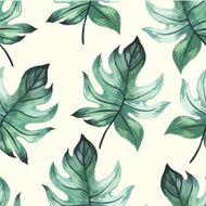 Vector illustration with tropical leaves N15