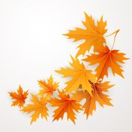 Autumn maples falling leaves background N2