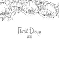 Floral Border N22