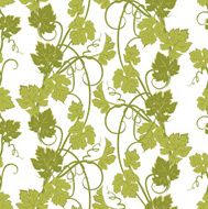 Seamless texture with vines N12