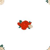Seamless pattern with roses N82