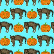 Sketch cat and pumpkin