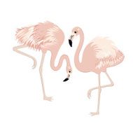 Pair of cute pink flamingos