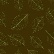 Contours of simple leaves