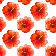 Vector illustration with red chinese hibiscus N5
