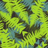 Seamless pattern of fern leaves illustration