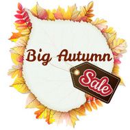 Fallen leaf Big Sale EPS 10 N2