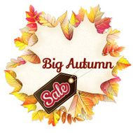 Fallen leaf Big Sale EPS 10 N3