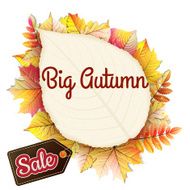 Fallen leaf Big Sale EPS 10 N5