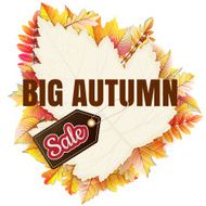 Fallen leaf Big Sale EPS 10 N6