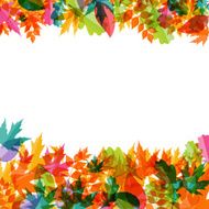 Shiny Autumn Natural Leaves Background Vector Illustration N3