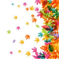 Shiny Autumn Natural Leaves Background Vector Illustration N7