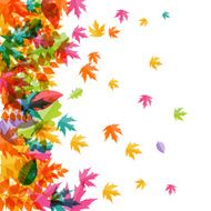Shiny Autumn Natural Leaves Background Vector Illustration N11
