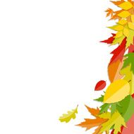 Shiny Autumn Natural Leaves Background Vector Illustration N17