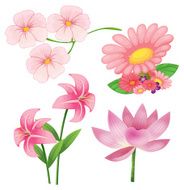 Flowers N183