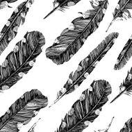 Hand drawn dotted feathers on white background