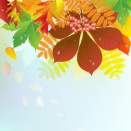 Autumn Background N46