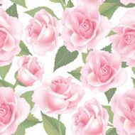 Flower roses Floral seamless background pattern