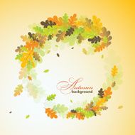 Oak autumn background vector